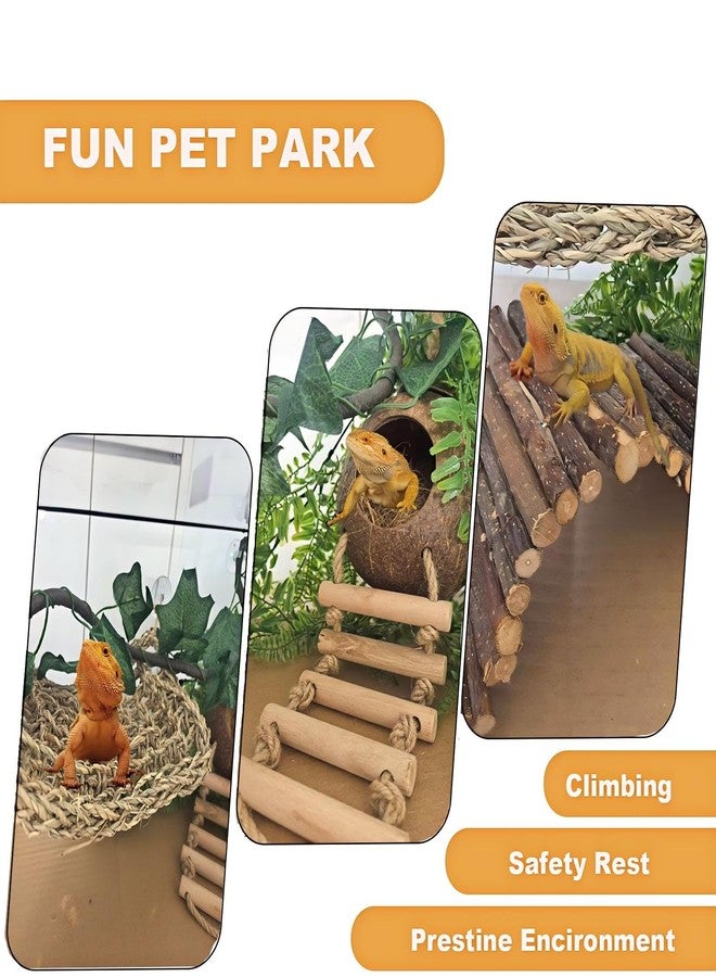 TEICCI Bearded Dragon Tank Accessories Set,10-Piece Kit Leopard Gecko Tank Accessories with Bearded Dragon Hammock, Large Reptile Bridge Hammock,Decor Suitable for Lizards, Geckos, and Chameleons - Image 2